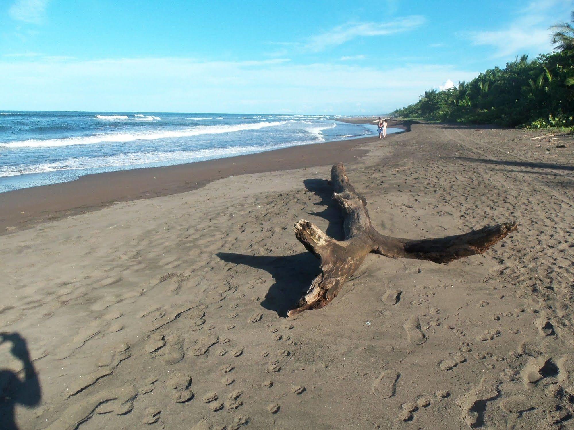 Miss Junies Lodge Tortuguero Esterno foto